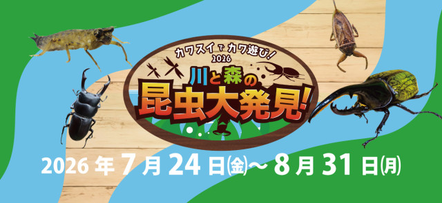 カワスイ 川崎水族館　夏休み限定イベント「カワスイで カワ遊び！川と森の昆虫大発見！」